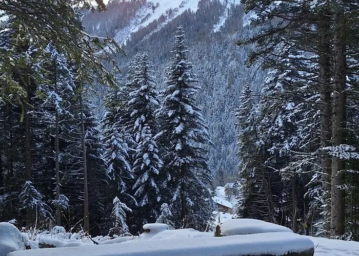 Les Bains D'ovronnaz - Sud Terrasse *