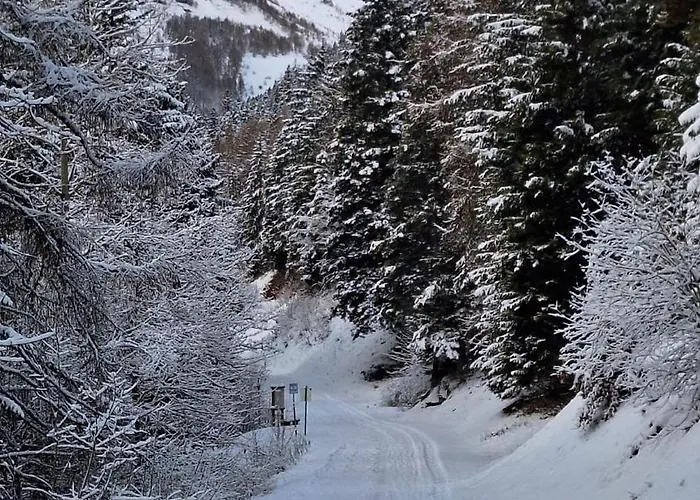 Les Bains D'ovronnaz - Sud Terrasse Διαμέρισμα Ovronnaz