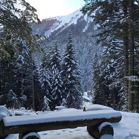 Les Bains D'ovronnaz - Sud Terrasse *